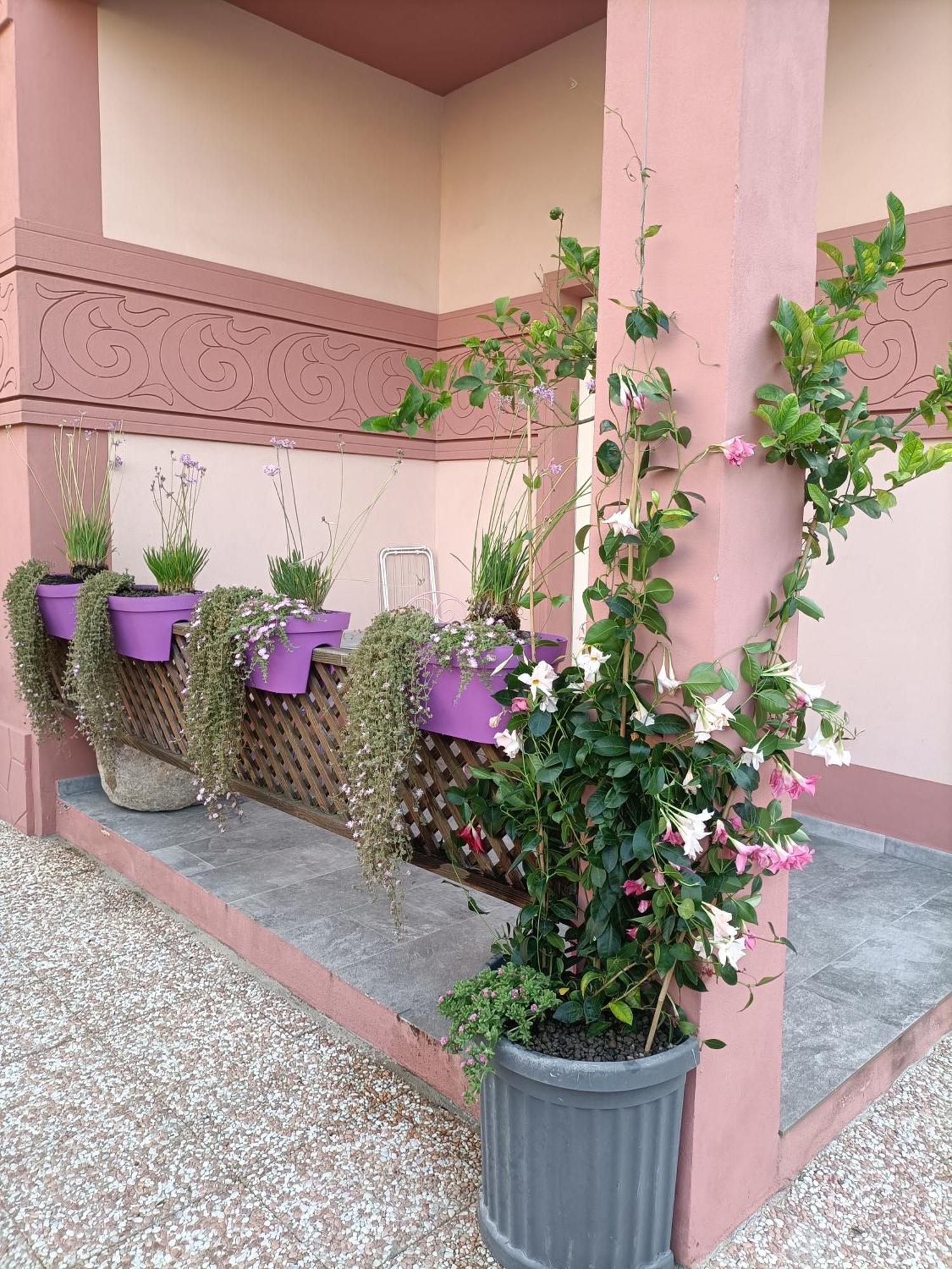 Maison Belle Epoque & Suites Oristano Rum bild