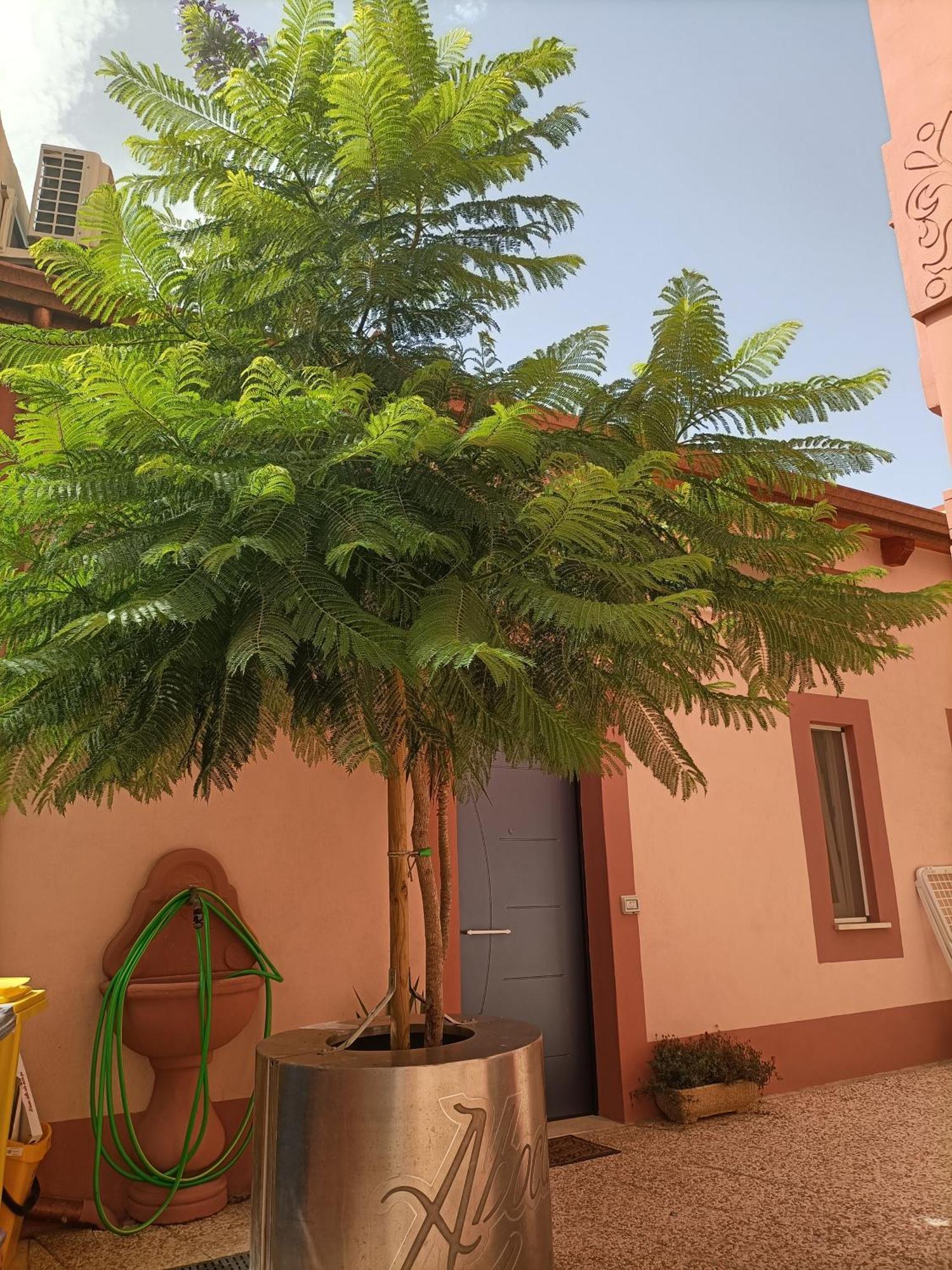 Maison Belle Epoque & Suites Oristano Rum bild